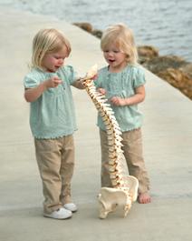 Cape Coral Chiropractor Services Barnes Family Chiropractic